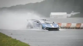 Arrinera Husarya