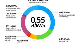 Co składa się na cenę prądu?