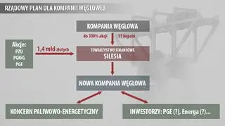 Co zakłada rządowy plan dla KW?