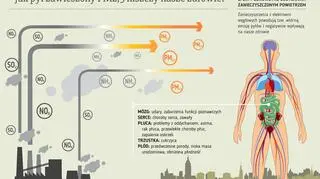 Efekty zdrowotne oddychania zanieczyszczonym powietrzem