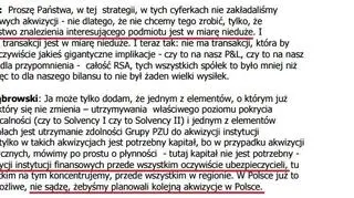 Fragment konferencji PZU z inwestorami po publikacji strategii rozwoju