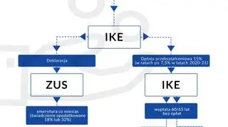Gdzie trafią środki z OFE?