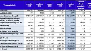 Główne wielkości charakteryzujące sektor SKOK