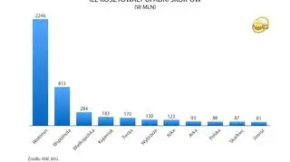 Ile kosztowały upadki SKOK-ów?