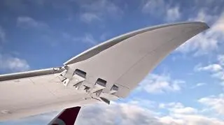 Końcówki, połączone z resztą skrzydeł zawiasem, wykonane są z włókna węglowego