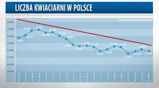 kwiaciarnie 