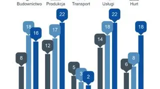 Liczba niewypłacalności w styczniu w poszczególnych sektorach
