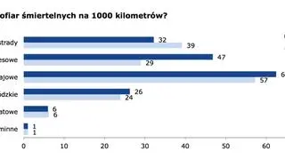 Liczba ofiar śmiertelnych na 1000 kilometrów
