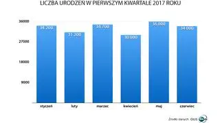 Liczba urodzeń w pierwszym kwartale 2017 roku