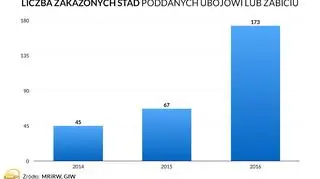 Liczba zakażonych stad poddanych ubojowi lub zabiciu