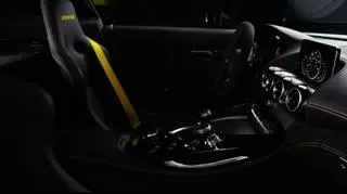 Mercedes AMG GT R 