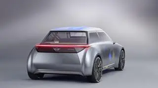  Mini Vision Next 100