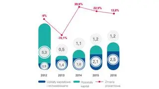 Napływ kapitału z tytułu polskich zagranicznych inwestycji bezpośrednich w Stanach Zjednoczonych (w mld złotych)