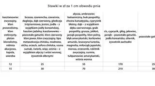 Nowe stawki opłat za wycinkę drzew i krzewów 