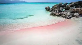 Pink Sands Beach