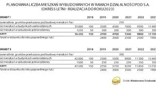 Plan budowy drewnianych domów do roku 2023
