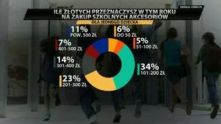 Planowane wydatki na artykuły szkolne