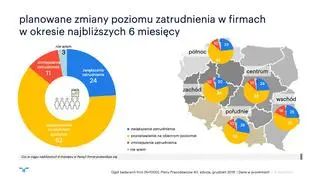 Planowane zmiany poziomu zatrudnienia w firmach