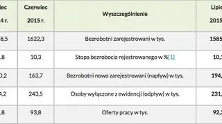 Podstawowe miesięczne wyniki - stan na koniec lipca 2015 r.