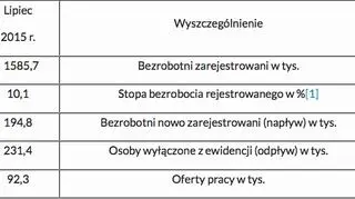 Podstawowe miesięczne wyniki - stan na koniec sierpnia 2015 r.