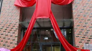 Polski Oxford lub polski MIT. Tak eksperci nazywają Wrocławskie Centrum Badań EIT+