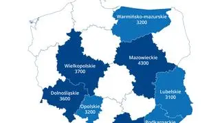 Przeciętne zarobki specjalistów ds. handlu i sprzedaży w Polsce