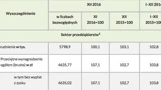 Przeciętne zatrudnienie i wynagrodzenie w sektorze przedsiębiorstw w grudniu 2016 roku