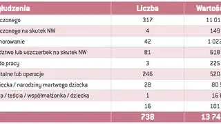 Przestępczość ubezpieczeniowa wg rodzaju wyłudzenia w 2016 roku - Dział I 