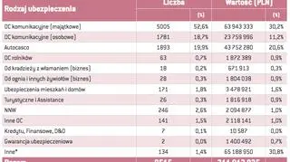 Przestępczość ubezpieczeniowa wg rodzaju wyłudzenia w 2016 roku - Dział II