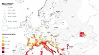 Ryzyko wystąpienia wirusa Zika w Europie w lipcu
