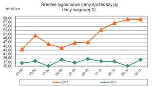 Średnie tygodniowe ceny sprzedaży jaj XL