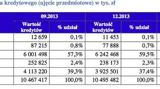Struktura portfela kredytowego 