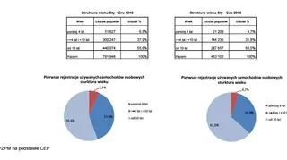 Struktura wieku aut rejestrowanych w kraju po raz pierwszy