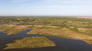 Texas