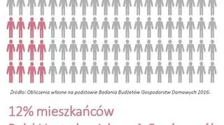 Ubóstwo energetyczne w Polsce w 2016 roku 