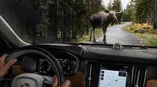 Volvo V90 CC