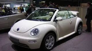 VW New Beetle