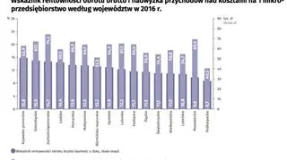 Wskaźnik rentowności obrotu brutto i nadwyżka przychodów nad kosztami na 1 mikroprzedsiębiorstwo według województw - w 2016 roku