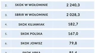 Wypłaty z BFG na SKOK- i