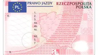 Wzór nowego prawa jazdy