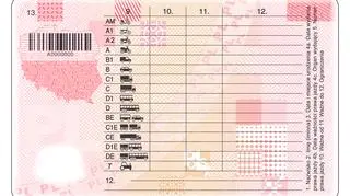 Wzór nowego prawa jazdy