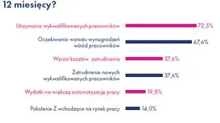 Z jakimi głównymi wyzwaniami Państwa firma będzie musiała zderzyć się w okresie najbliższych 12 miesięcy?