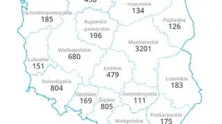 Zapotrzebowanie na stażystów i praktykantów według województw