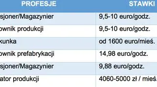 Zarobki według profesjach w niektórych krajach Unii Europejskiej