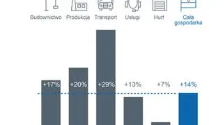 Zmiana liczby niewypłacalnych firm (rok do roku) w poszczególnych sektorach 