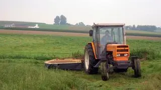 Na dopłaty bezpośrednie w Polsce za 2015 r. przewidziane jest 3,5 mld euro