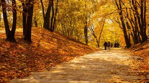 12 listopada dniem wolnym od pracy. Kontrowersje