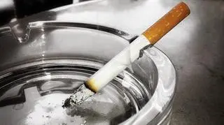 Wicepremier i minister gospodarki Janusz Piechociński chce bronić interesów polskiego przemysłu tytoniowego