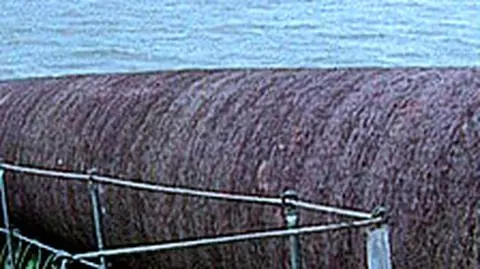 "Rurociąg Ribbentrop-Mołotow"