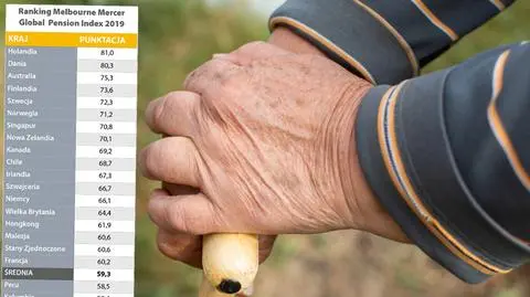 Polska zajęła w rankingu 21. miejsce na 37 klasyfikowanych krajów